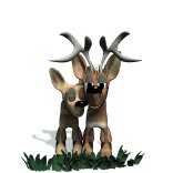 deers_lovebirds_lw.gif