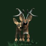 deers_lovebirds_lc.gif