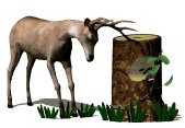 deer_rubbinantlers_tr_a_lw.gif