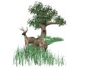 deer_field_grazing_mw.gif