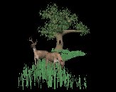 deer_field_grazing_lc.gif