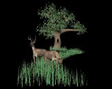 deer_field_grazing_lb.gif
