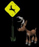 deer_crossing_lb.gif