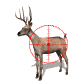 deer_crosshairs_sw.gif