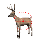 deer_crosshairs_sc.gif