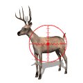 deer_crosshairs_mw.gif