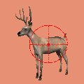 deer_crosshairs_mc.gif