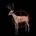 deer_crosshairs_mb.gif
