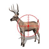 deer_crosshairs_lw.gif