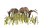 deer_closeup_feeding_sc.gif