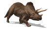 triceratops_walk_mw.gif