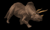 triceratops_walk_mb.gif