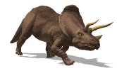 triceratops_walk_lw.gif
