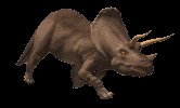 triceratops_walk_lc.gif