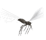 skeeter_fly_mw.gif