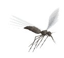 skeeter_fly_lw.gif