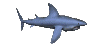 shark_swim_mc.gif