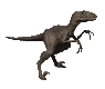 raptor_walk_mc.gif