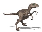 raptor_walk_lw.gif