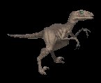 raptor_walk_lc.gif