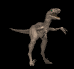 raptor_scream_mb.gif