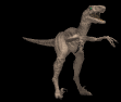 raptor_scream_lb.gif