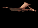 ptero_fly_lb.gif