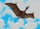 ptero_clouds_fly_lw.gif