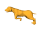 yellowdog_run_mw.gif