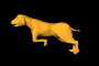 yellowdog_run_mb.gif