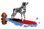 surferdog_sc.gif