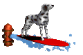 surferdog_mc.gif