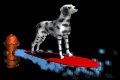 surferdog_mb.gif