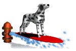 surferdog_lw.gif