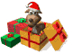 present_sw.gif