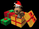 present_sb.gif