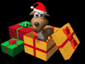 present_lb.gif