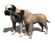 mastiff_pair_wagging__a_lw.gif