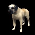 mastiff_blinking_mc.gif