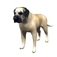 mastiff_blinking_hr.jpg