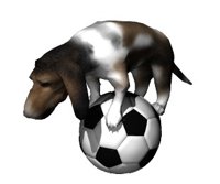 hounddog_balancingsoc_a_hr.jpg