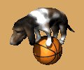 hounddog_balancingbas_a_mc.gif