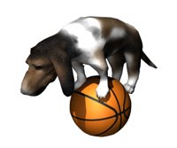 hounddog_balancingbas_a_hr.jpg