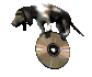 hounddog_balancing_cd_sc.gif