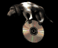 hounddog_balancing_cd_sb.gif