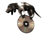 hounddog_balancing_cd_lw.gif