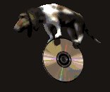hounddog_balancing_cd_lc.gif