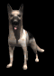 german_shepard_waggin_a_sb.gif