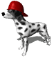 firedog_hat_sw.gif