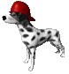 firedog_hat_sc.gif